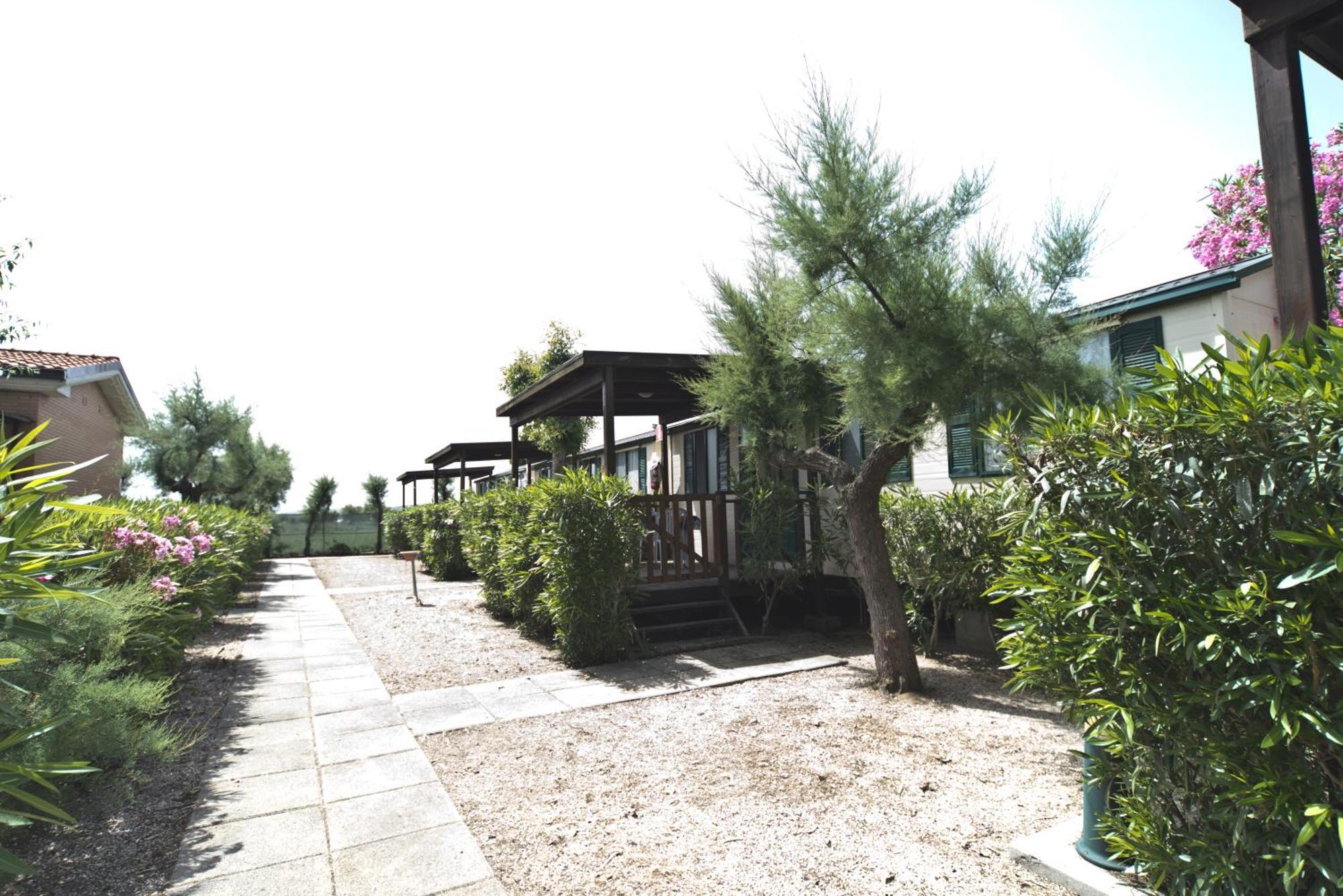Villaggio Diomedea Campomarino  Esterno foto